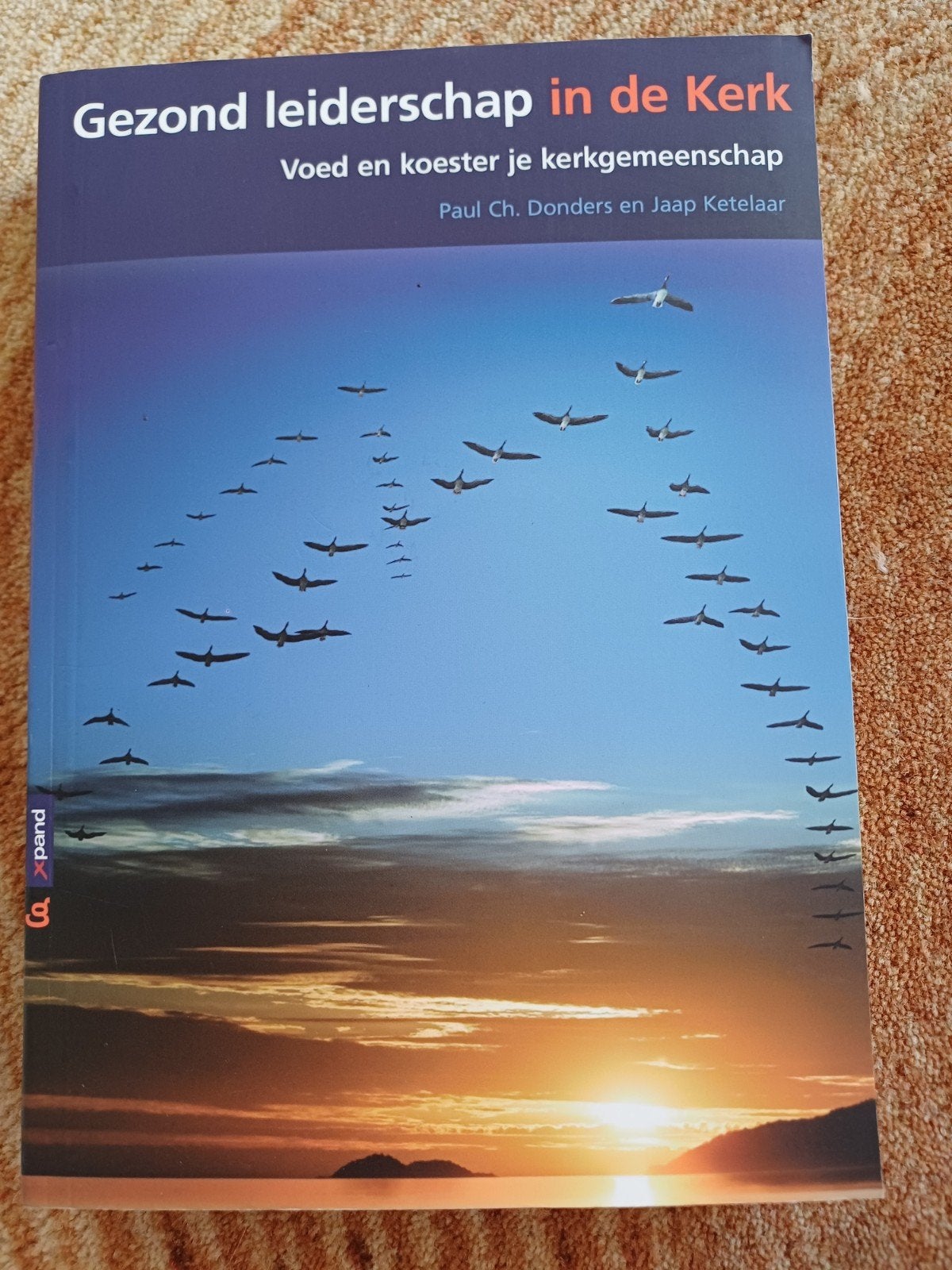 Jaap Ketelaar - Gezond leiderschap in de kerk, Boeken, Advies, Hulp en Training, Zo goed als nieuw, Ophalen of Verzenden