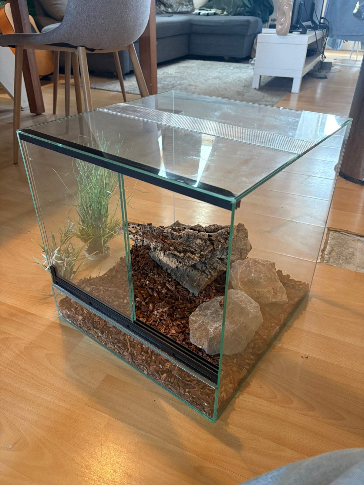 Terrarium vierkant 40 x 40 x 40 cm, Ophalen, Gebruikt, Terrarium of Paludarium