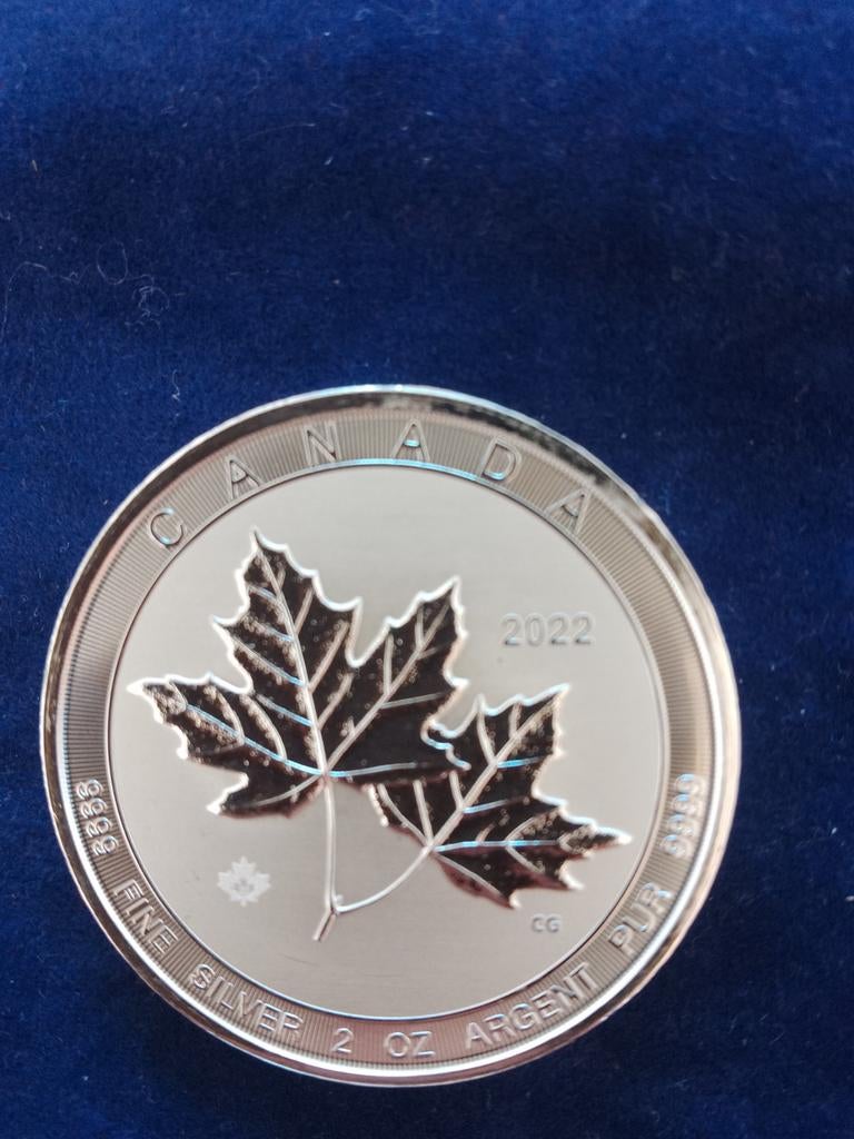 Maple Leaf 2022 2 oz zilver, Ophalen of Verzenden, Noord-Amerika, Zilver