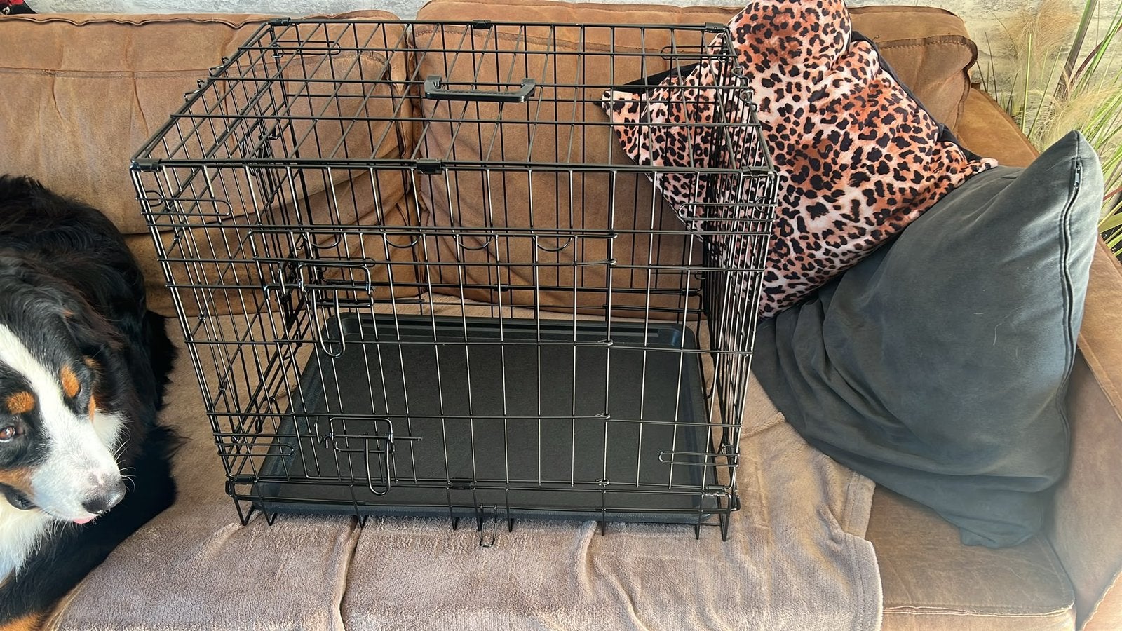 Nieuwe Honden bench nooit gebruikt afmetingen 61x46x51., Ophalen, Nieuw