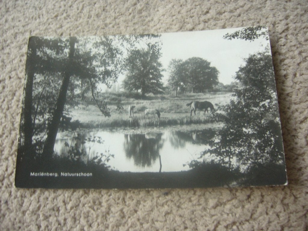 MARIENBERG  =  NATUURSCHOON, Ophalen of Verzenden, 1940 tot 1960, Gelopen, Overijssel