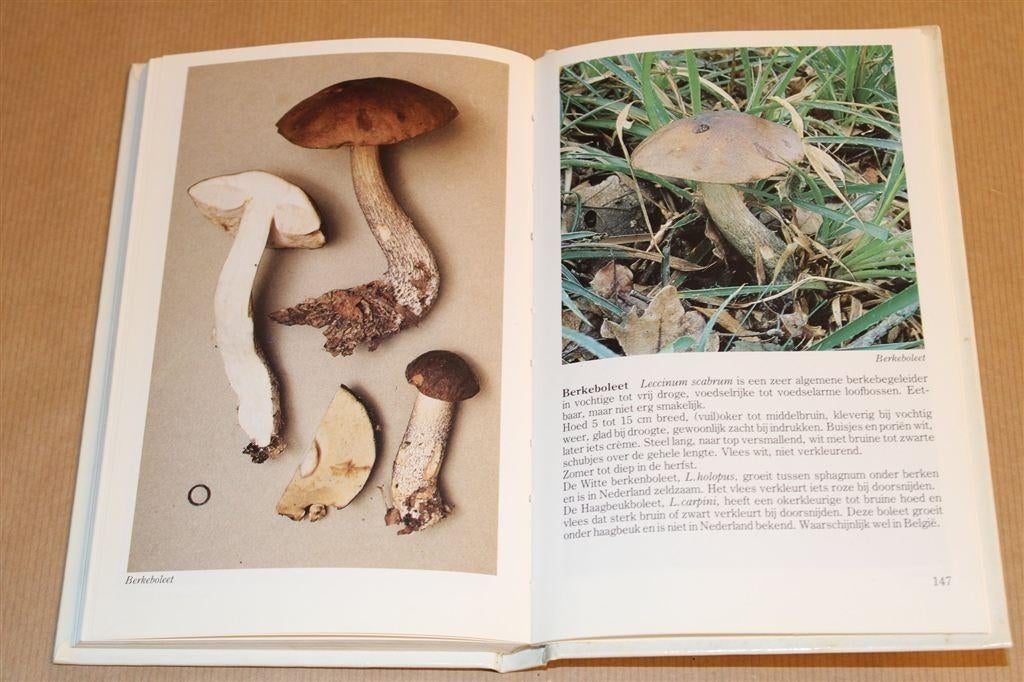 Paddestoelen Herkennen — Met de Foto's van Roger Phillips, Ophalen of Verzenden, Gelezen, Bloemen, Planten en Bomen