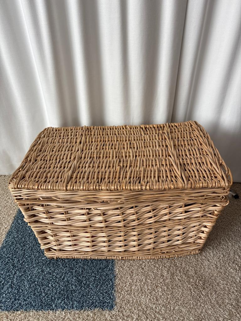 Rotan opbergkist - Handgemaakt en stijlvol, Huis en Inrichting, Woonaccessoires | Schalen en Manden, Gebruikt, Mand, Ophalen of Verzenden