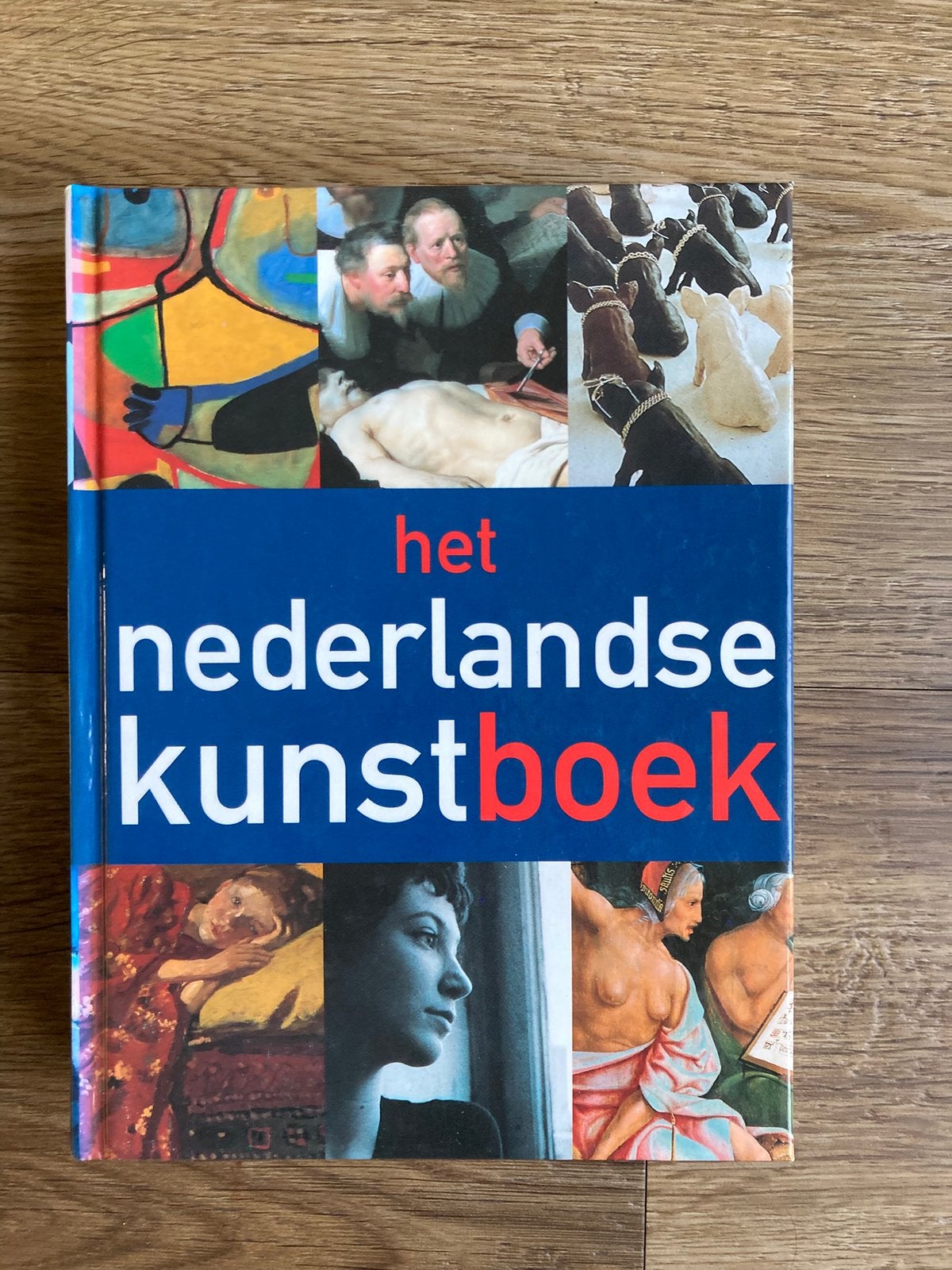 Het Nederlandse kunstboek - R. Fernhout, Boeken, Ophalen of Verzenden, Zo goed als nieuw