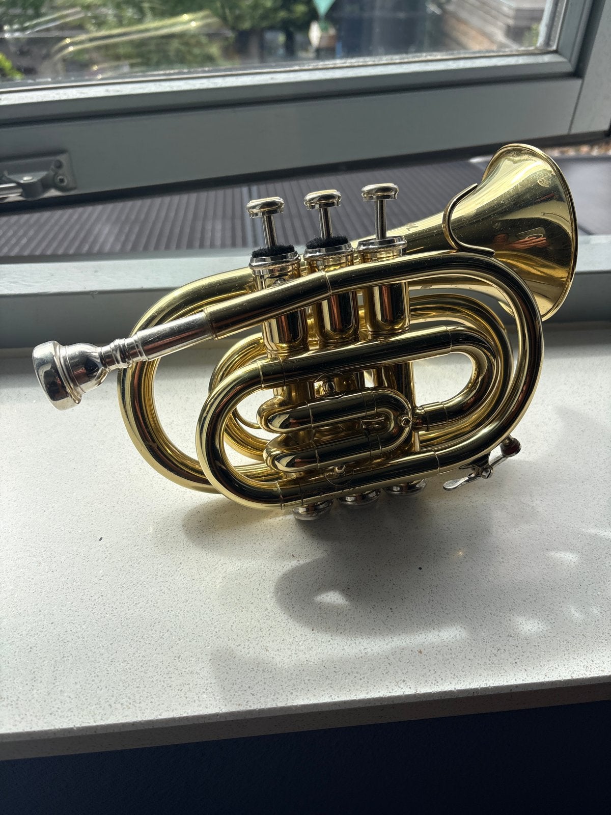 Gouden trompet met koffer, Ophalen, Gebruikt, Overige typen, Met koffer