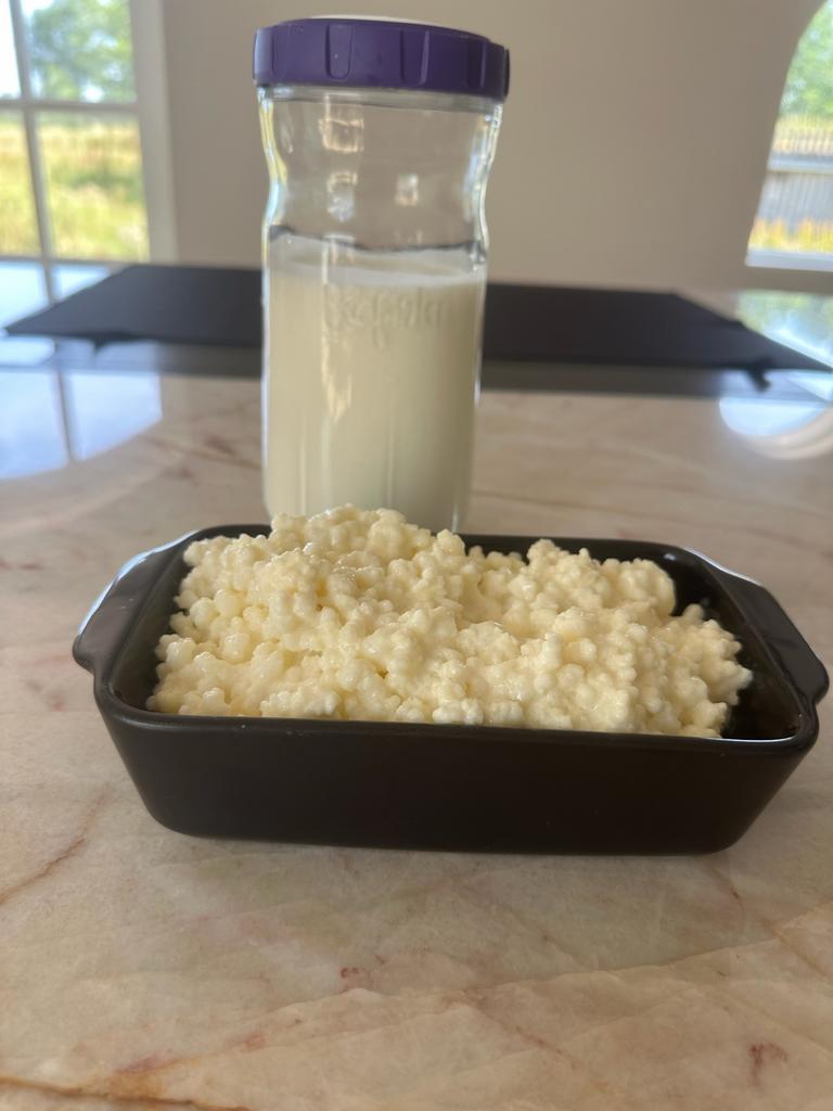 Biologische kefirkorrels 100 gram, Diversen, Ophalen