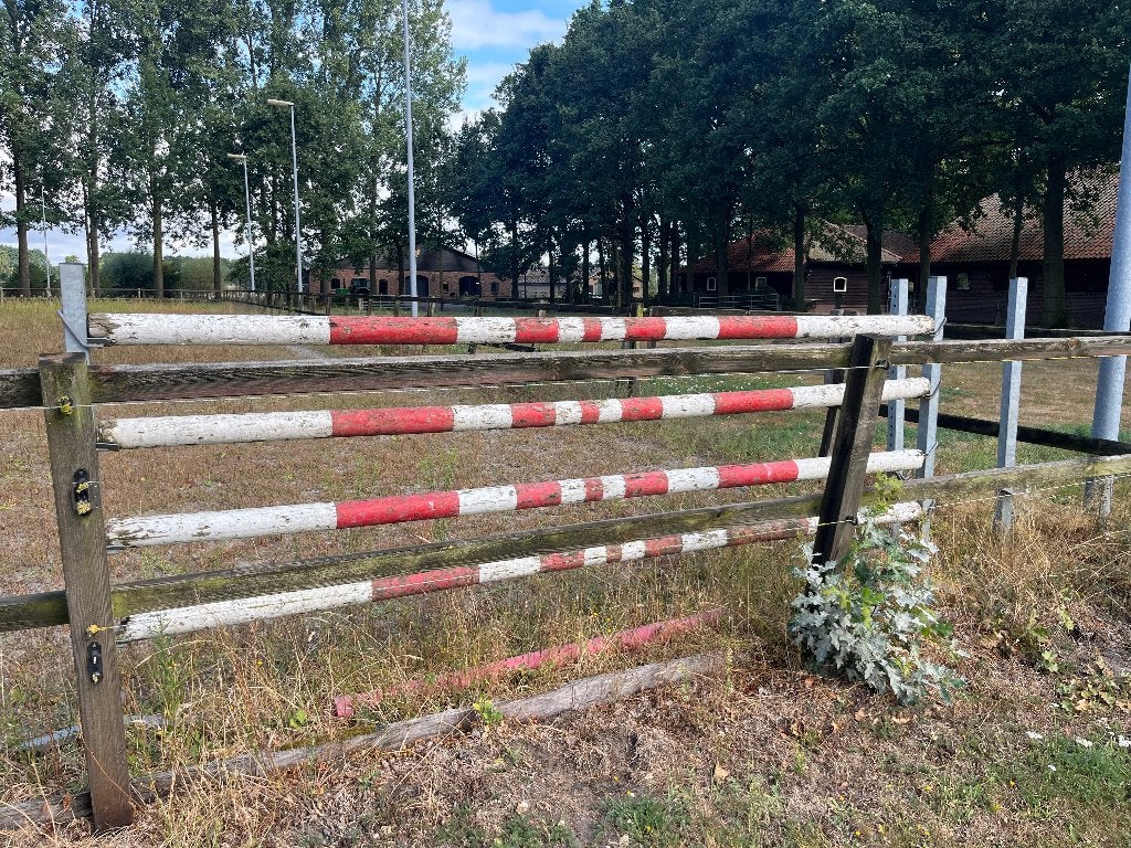paarden hindernissen met staanders, Ophalen, Gebruikt, Springen