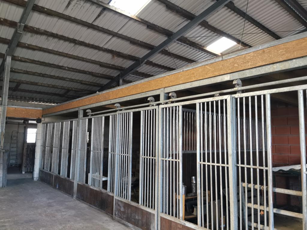 Zeer solide loopstal / paardenstal / opfokstal voor jongvee