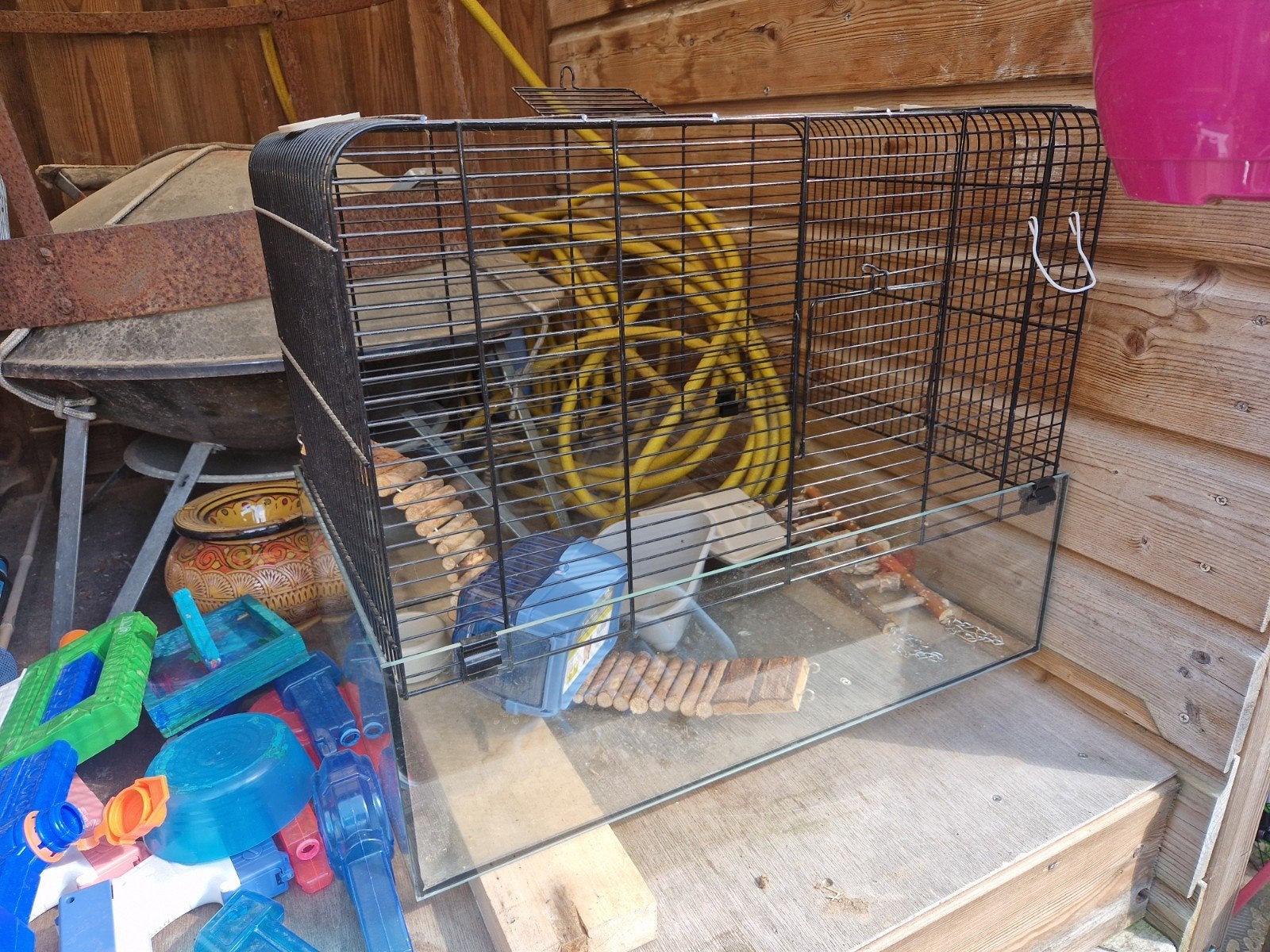 hamsterkooi met glazen bodem, Ophalen, Gebruikt, Loopwiel of Rad