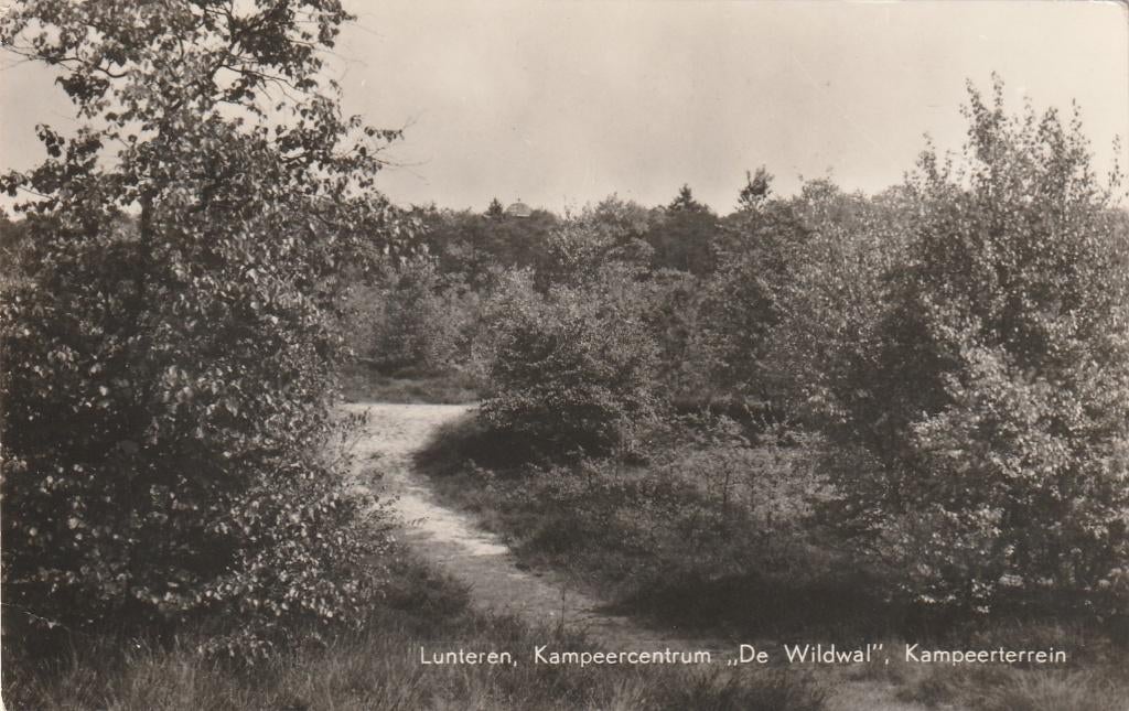 LUNTEREN De Wildwal Kampeercentrum, Verzamelen, Ansichtkaarten | Nederland, Gelopen, Gelderland, 1960 tot 1980, Verzenden