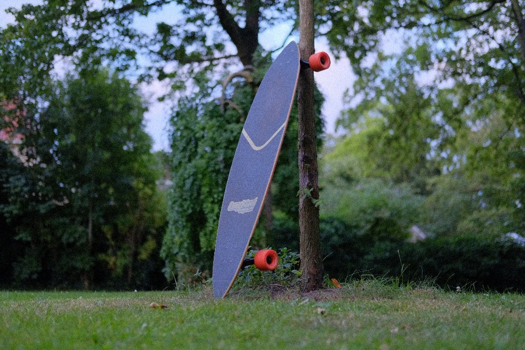 Long Island Pintail Complete Longboard, 'Japanese Flowers', Sport en Fitness, Skateboarden, Ophalen, Gebruikt, Skateboard, Longboard