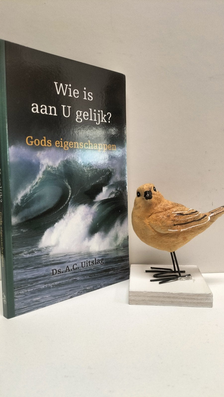 Uitslag, Ds. A.C.; Wie is aan U gelijk ?, Ophalen of Verzenden, Gelezen, Christendom | Protestants