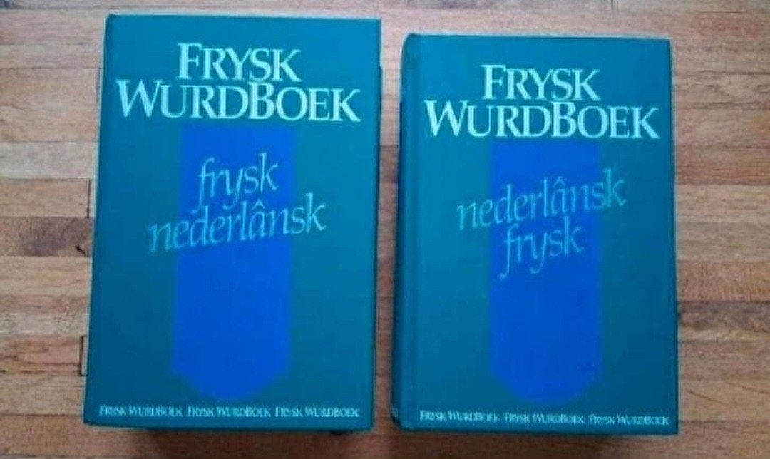 2 delige set woordenboeken
Frysk wurdboek deel 1 en 2
Friese, Ophalen of Verzenden, Zo goed als nieuw, Prisma of Spectrum, Nederlands