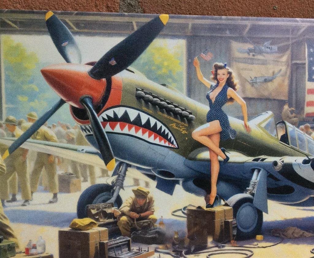 Curtiss P-40 Warhawk Pinup metalen WW2 Wandbord, Verzamelen, Verzenden, Nederland