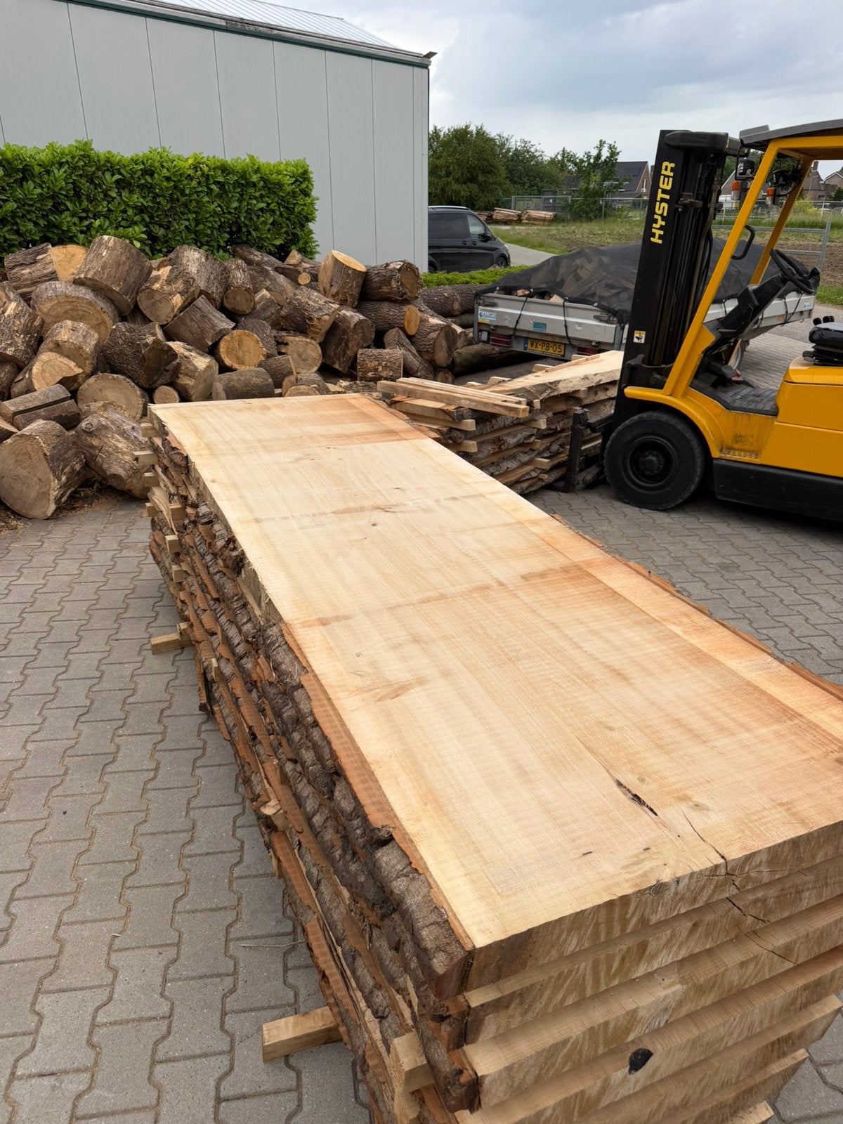 Zeer grote boomstambladen 300x90/95x7 cm, Tuin en Terras, Palen, Balken en Planken, Ophalen of Verzenden, Zo goed als nieuw, 250 cm of meer