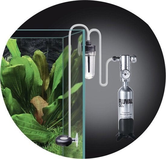 Aquarium CO2 cilinders vullen, €10 per kilo CO2., Dieren en Toebehoren, Ophalen, Nieuw, CO₂-systeem