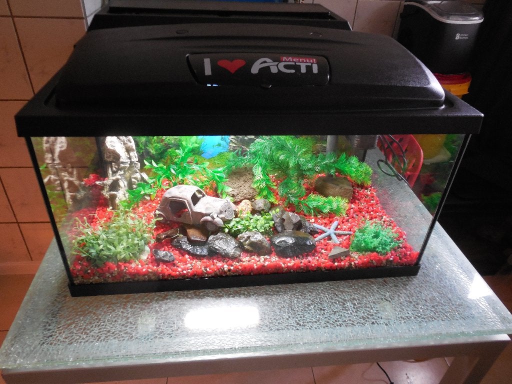 aquael  60 cm aquarium met toebehoren/inrichting, Dieren en Toebehoren, Ophalen, Gebruikt, Leeg aquarium, Aquael