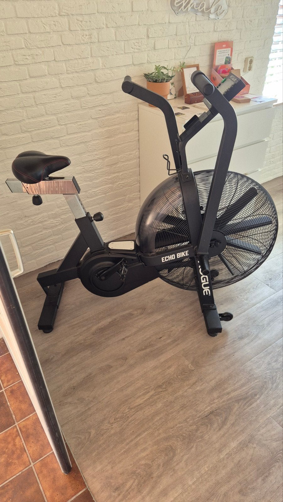 Rogue Echo Bike / Assault Bike, Ophalen, Zo goed als nieuw, Benen, Airbike