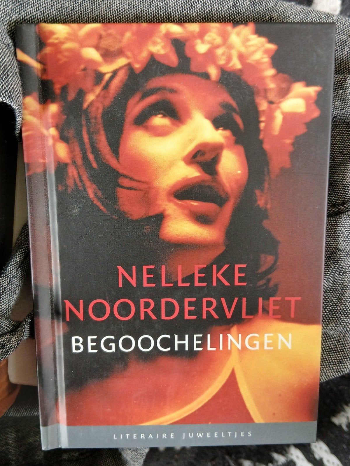 Nelleke Noordervliet - Begoochelingen (Literair Juweeltje), Ophalen of Verzenden, Gelezen, Nelleke Noordervliet, Nederland
