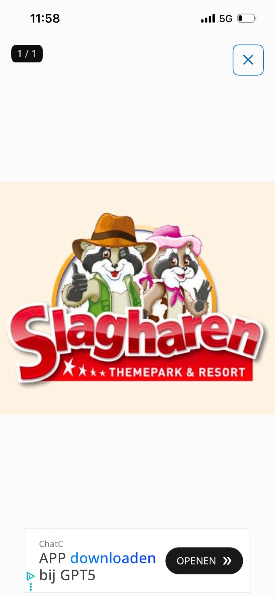 1 e-ticket Slagharen