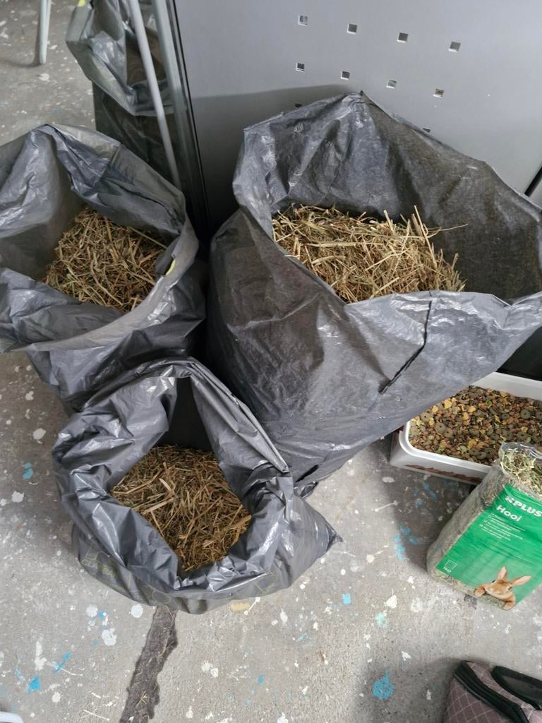 Cavia spullen, Ophalen, Nieuw, Verzorging