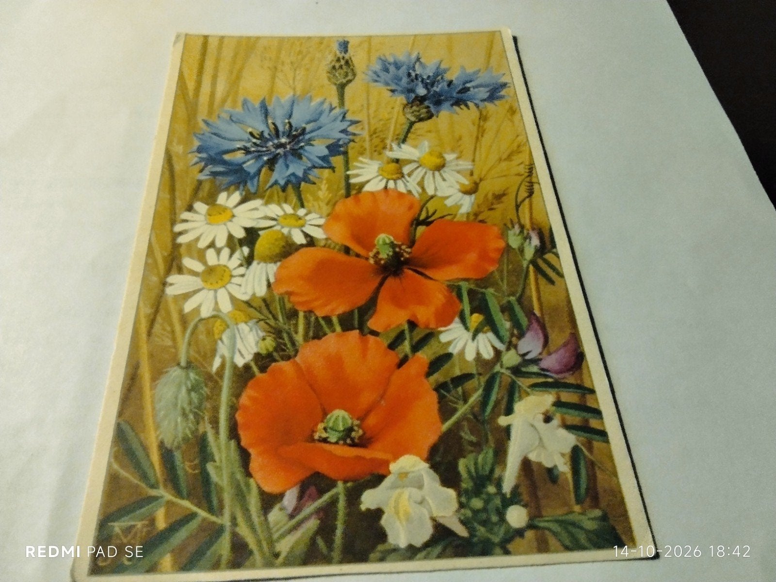 Vintage Ansichtkaart Korenbloemen Klaprozen Kamille, Ophalen of Verzenden, Voor 1920, Gelopen
