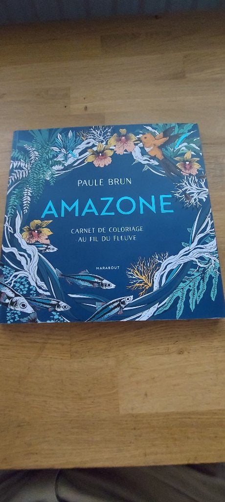 2 kleurboeken PAULE BRUN, Ophalen of Verzenden, Nieuw