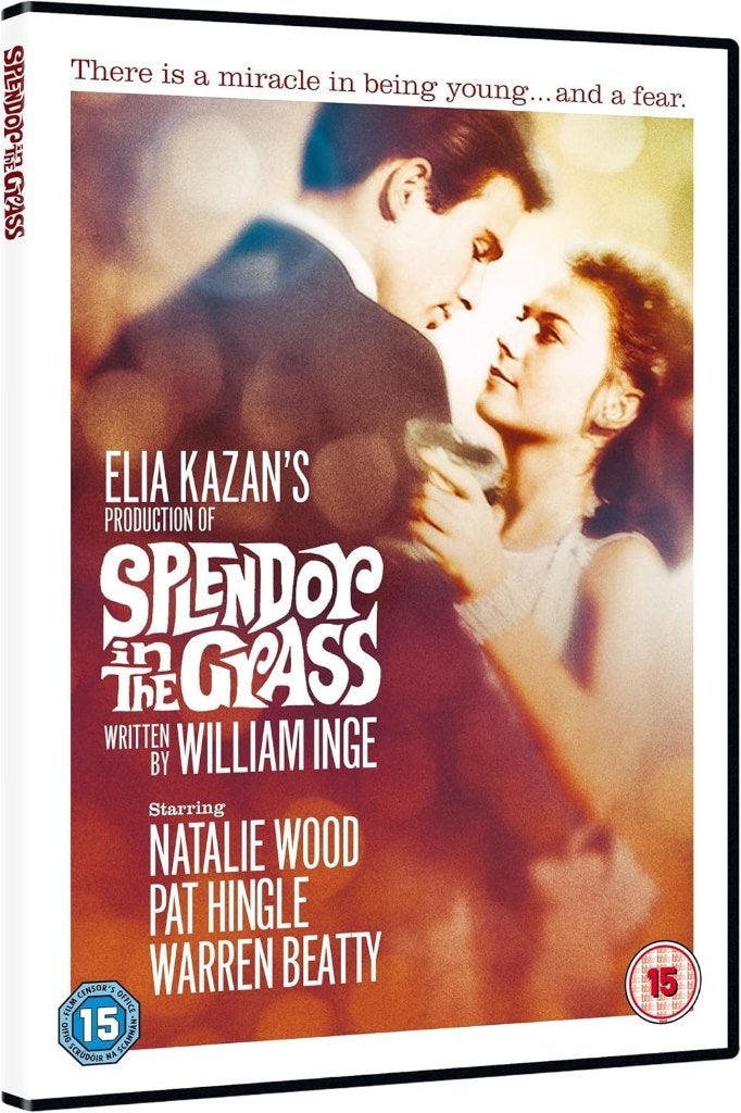 DVD SPLENDOR IN THE GRASS NATALIE WOOD WARREN BEATTY, Verzenden, Alle leeftijden, Drama, Zo goed als nieuw