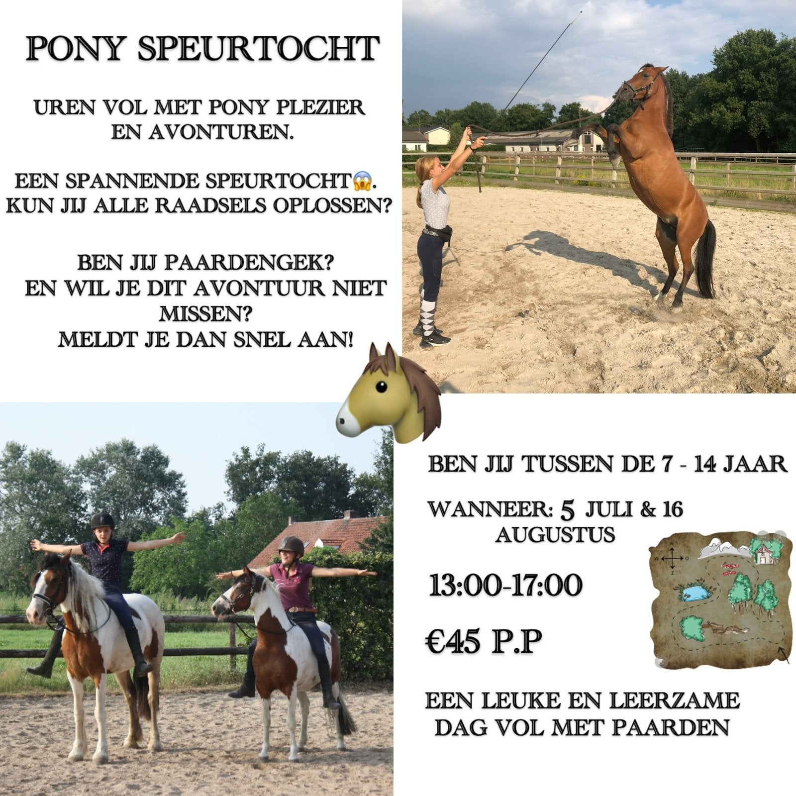 Pony speurtocht middag, Ophalen, Nieuw, Verjaardag
