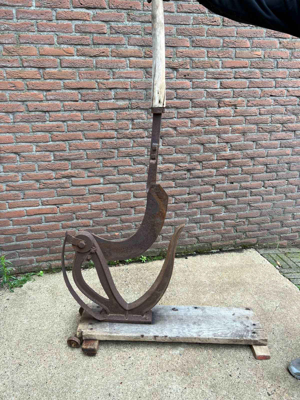 Antieke riet snijder, Ophalen, Gebruikt, Overige soorten