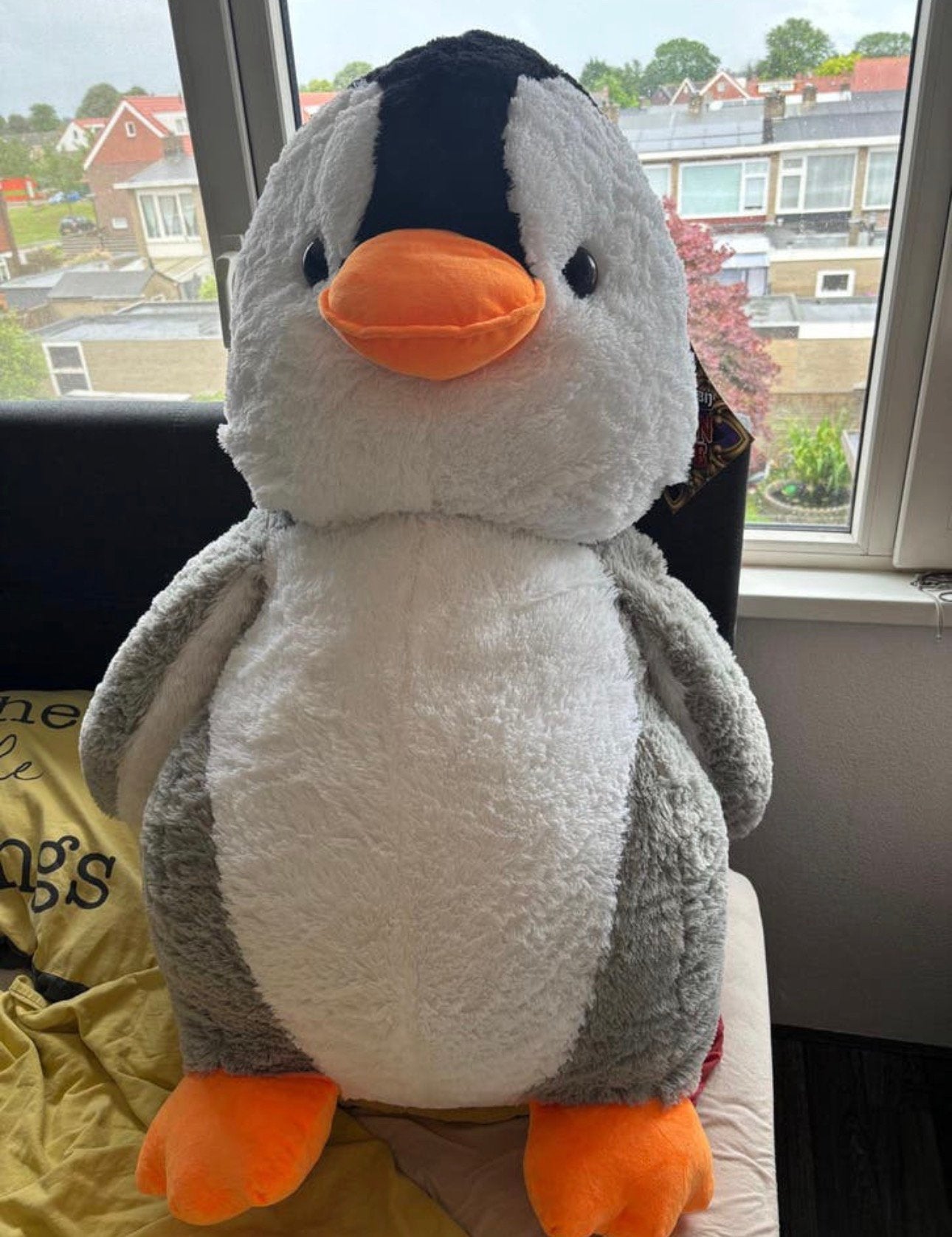 Pinguïn knuffel, Ophalen, Pinguïn, Overige merken, Overige karakters