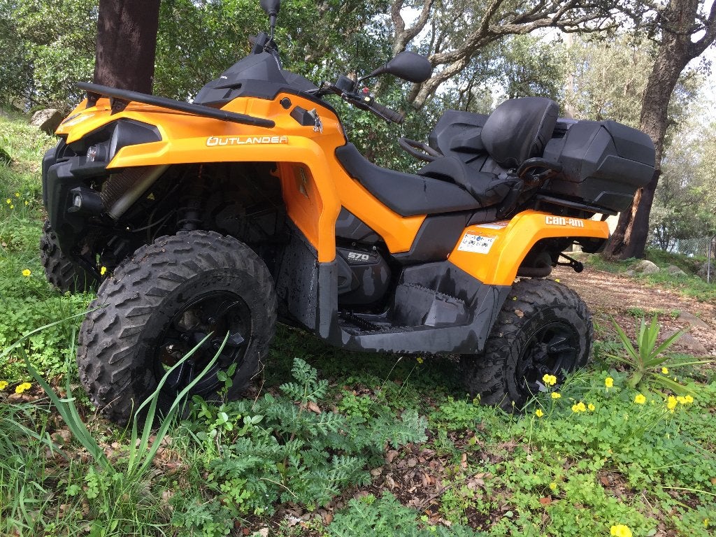 Can am quad ( tweezitter), Motoren, 2 cilinders, 570 cc