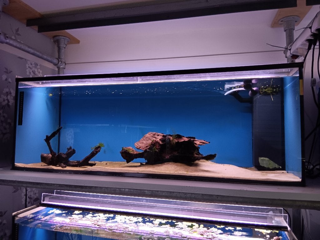 aquarium stelling, Dieren en Toebehoren, Vissen | Aquaria en Toebehoren, Gebruikt, Overige typen, Ophalen