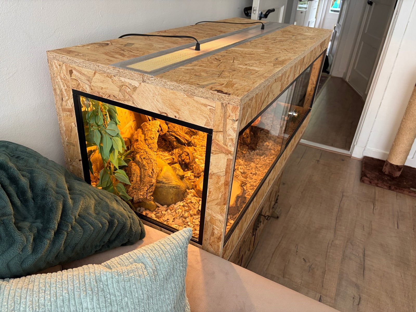 Terrarium inclusief rattenslang, Dieren en Toebehoren, Ophalen, Zo goed als nieuw