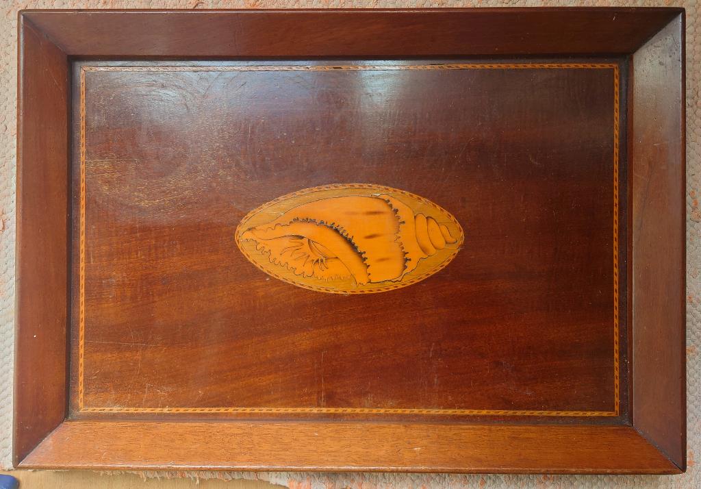 ~1850 Engelse  mahonieboom dienblad met schelp, Antiek en Kunst, Antiek | Woonaccessoires, Ophalen of Verzenden