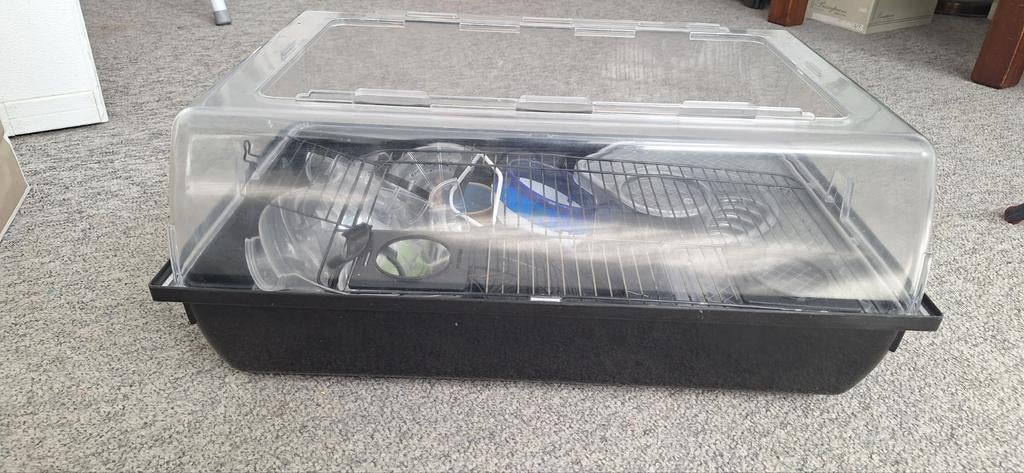 Hamsterkooi, Minder dan 60 cm, Kooi, Minder dan 75 cm, Ophalen of Verzenden