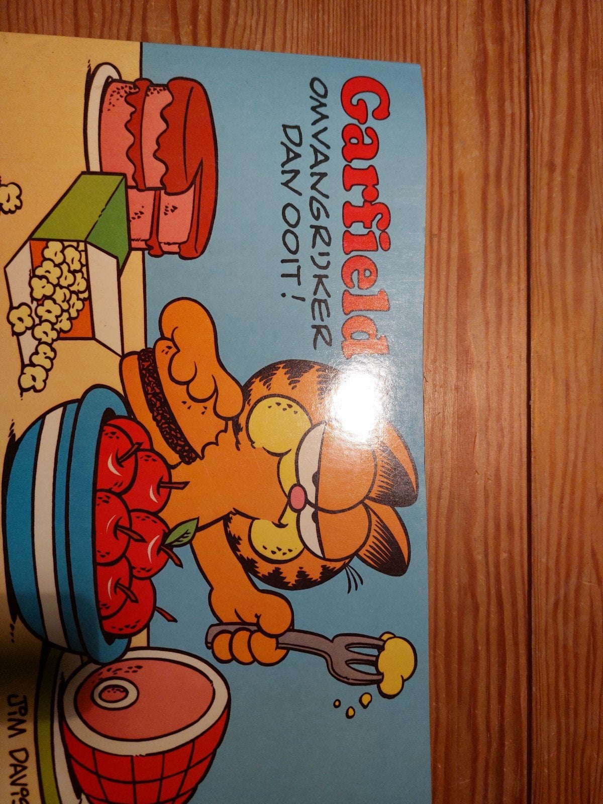 Garfield stripboek., Eén stripboek, Ophalen, Gelezen