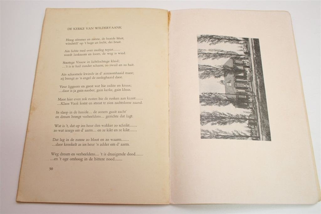 Aoderjaon Geerts Wildervank van Geert Teis [1928] — Zeldzaam, Ophalen of Verzenden, Gelezen