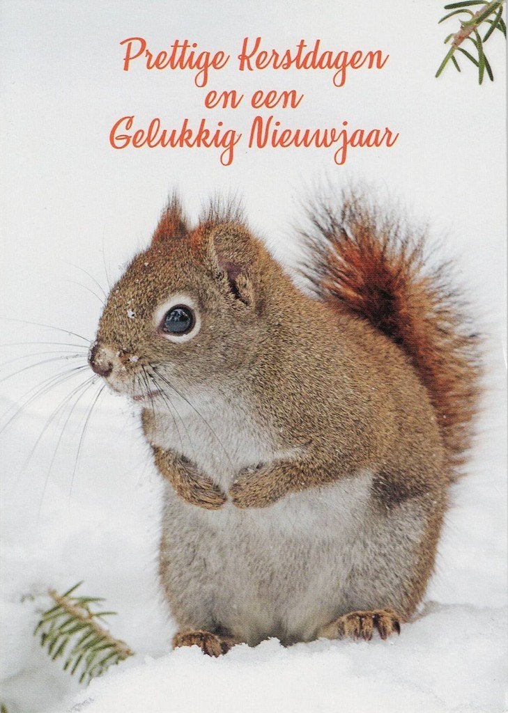 Eekhoorn zit in de sneeuw 87, Verzamelen, Ansichtkaarten | Dieren, Verzenden, 1980 tot heden, Gelopen, Knaagdier