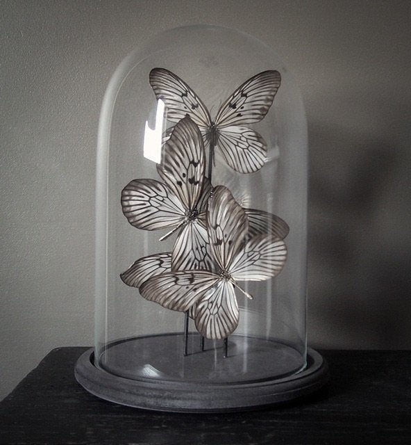 Prachtige echte vlinder in stolp chique naturalia taxidermie, Ophalen of Verzenden, Nieuw, Insect, Opgezet dier