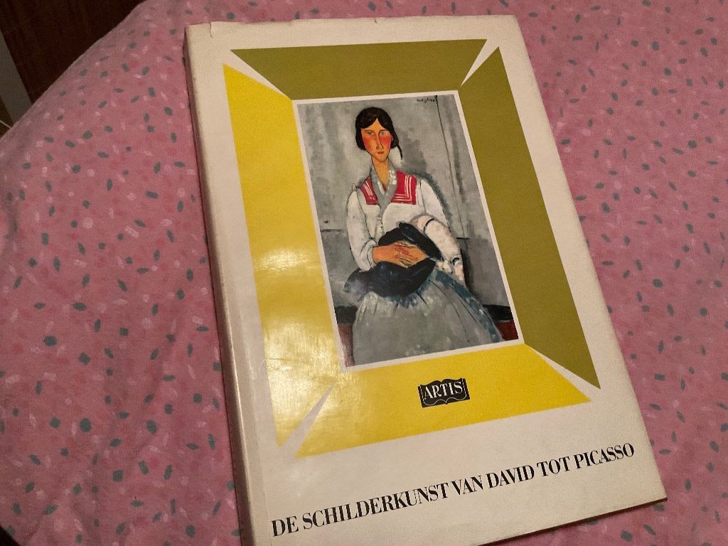 De Schilderkunst Van David tot Picasso, Onbekend, Ophalen of Verzenden, Zo goed als nieuw, Overige onderwerpen