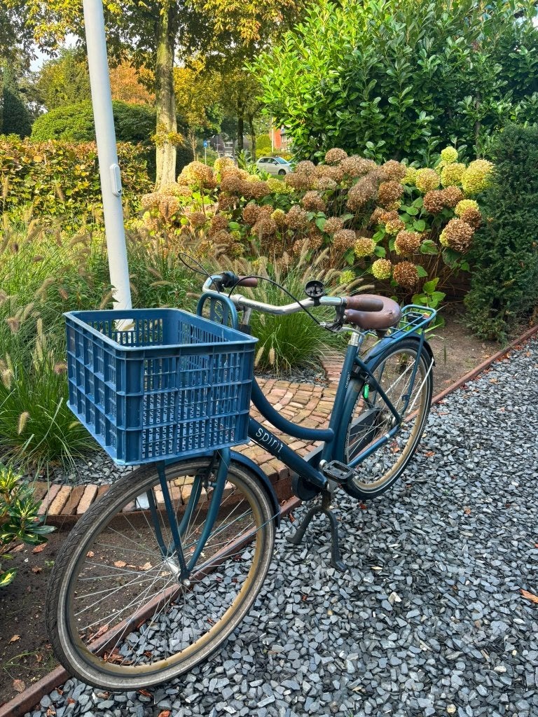 Blauw Spirit dames fiets met krat, Ophalen, Gebruikt, Overige merken