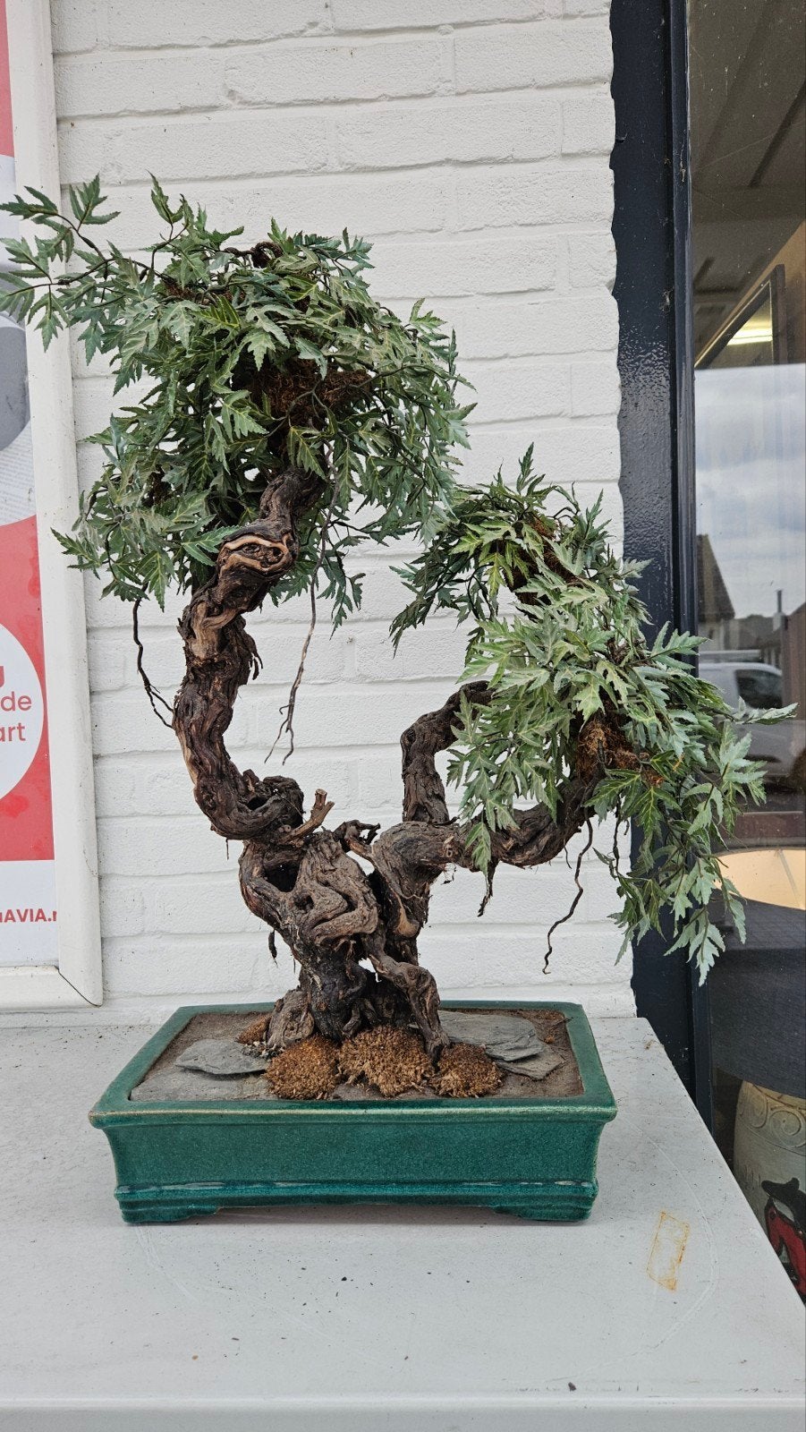 Kunststof Bonsai Boom - Realistische Kunstplant, Huis en Inrichting, Woonaccessoires | Kunstplanten en Kunstbloemen, Ophalen, Binnen