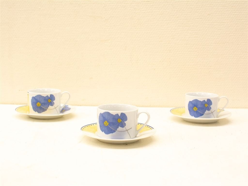 Set 3 kopjes 3 schoteltjes 30631, Gebruikt, Ophalen of Verzenden, Bord(en), Wedgwood