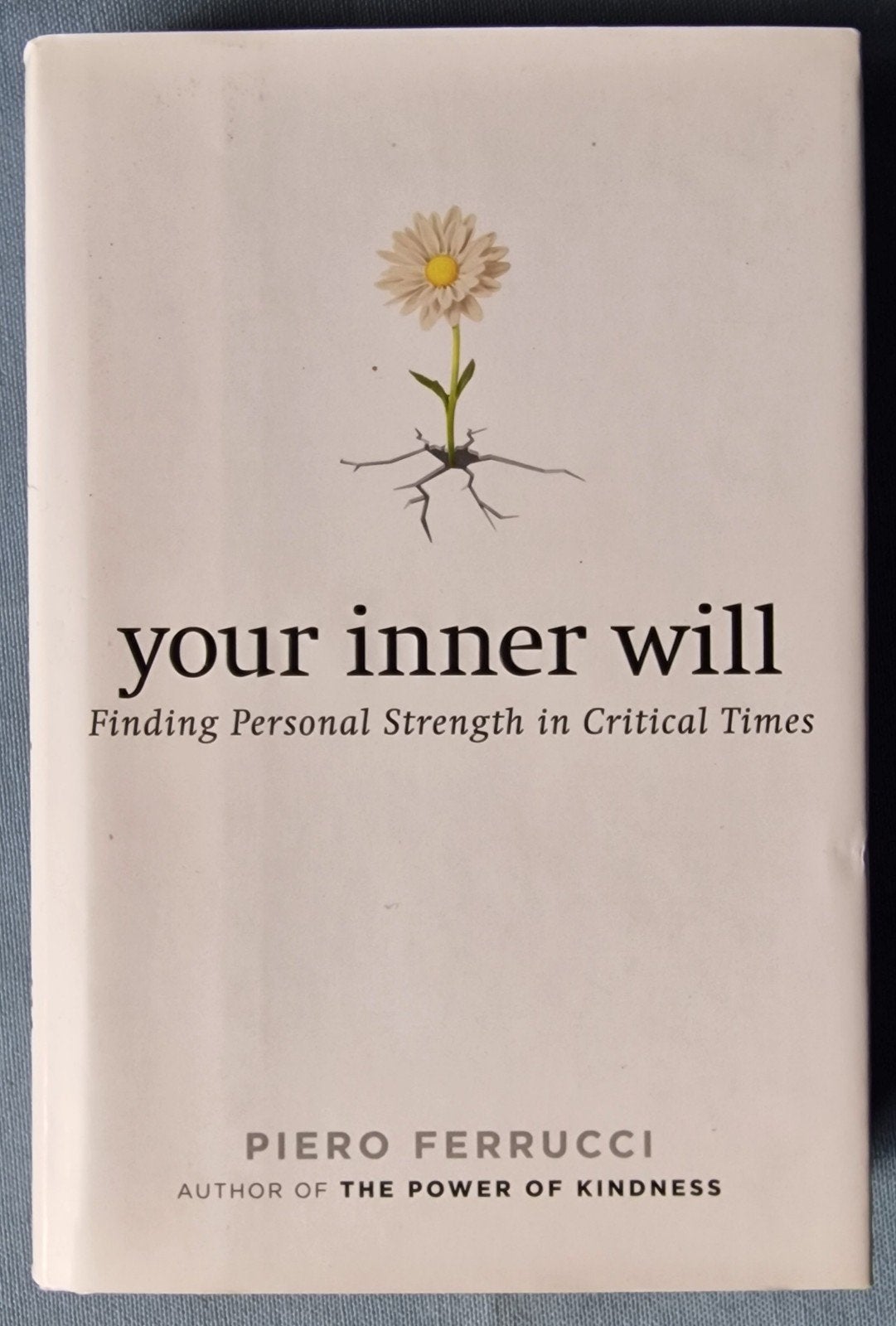 Your Inner Will - Piero Ferrucci (Engels), Achtergrond en Informatie, Spiritualiteit algemeen, Ophalen of Verzenden, Zo goed als nieuw