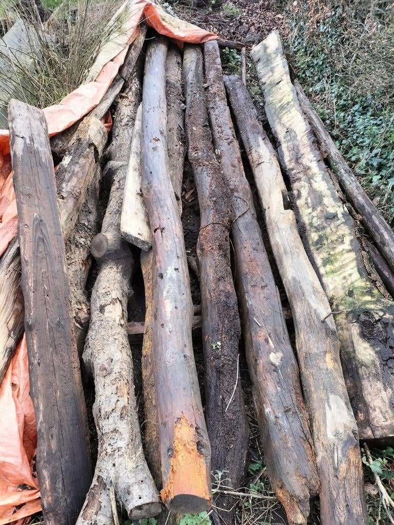 Houten boomstammen/balken, Tuin en Terras, Haardhout, Minder dan 3 m³, Ophalen of Verzenden