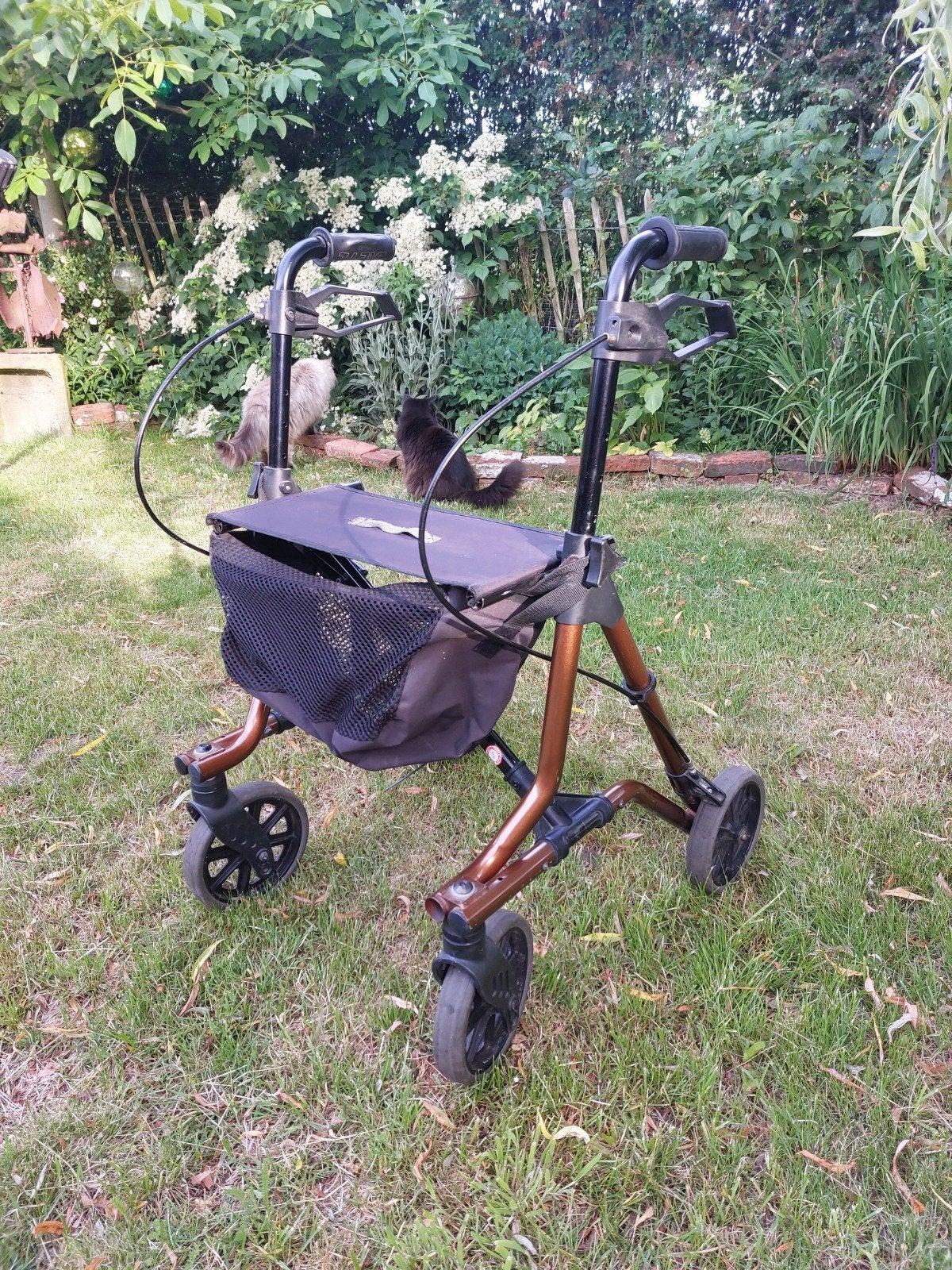 Dietz taima rollator, Diversen, Rollators, Ophalen