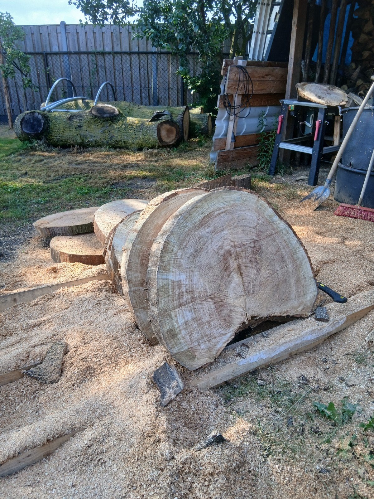 boomschijven, Ophalen, Nieuw, Hout, Landelijk
