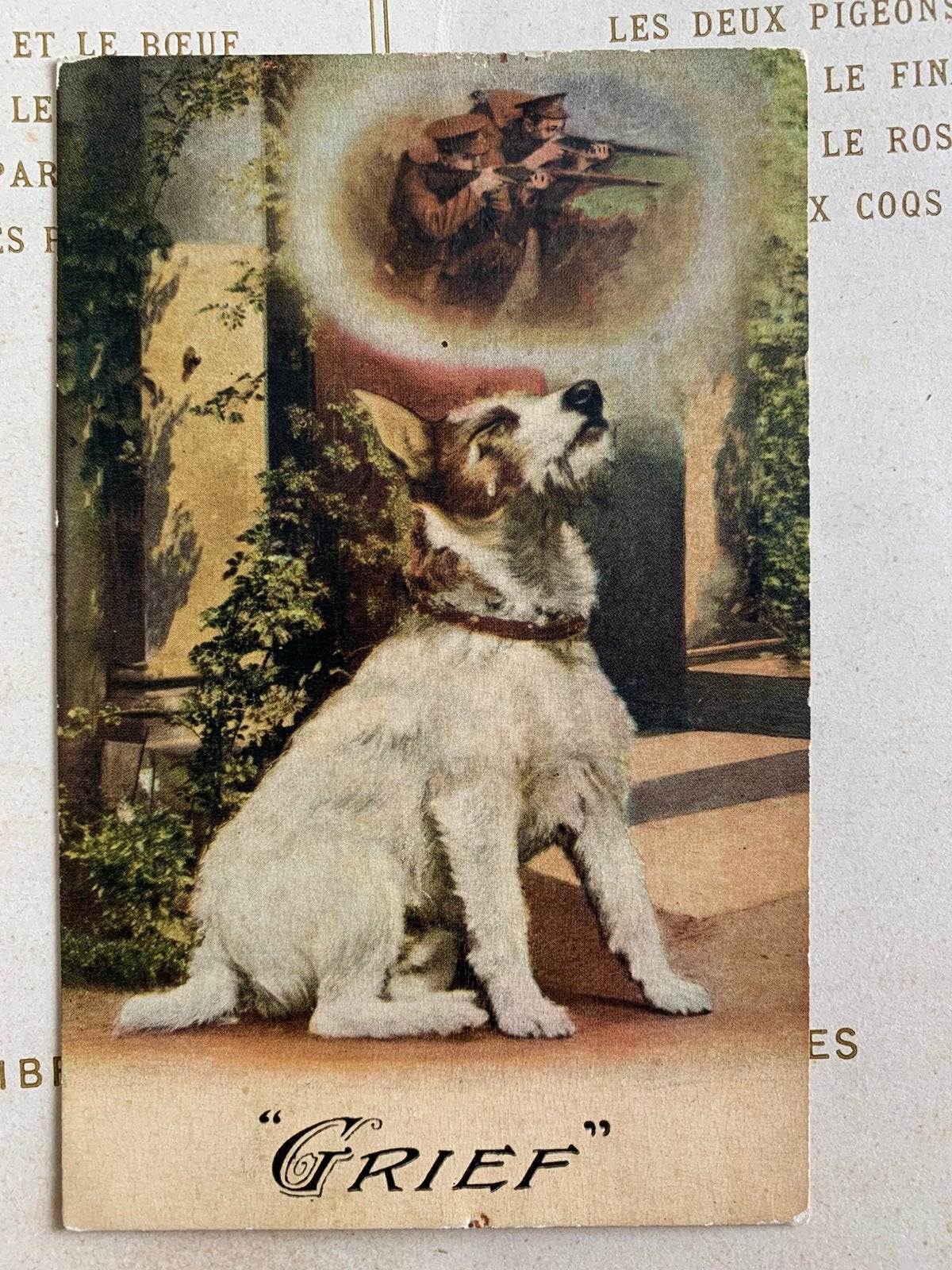 Grief - Hondje denkt aan z’n baasje - Engelse militair (HE), Verzamelen, Ophalen of Verzenden, Voor 1920, Ongelopen, Overige thema's