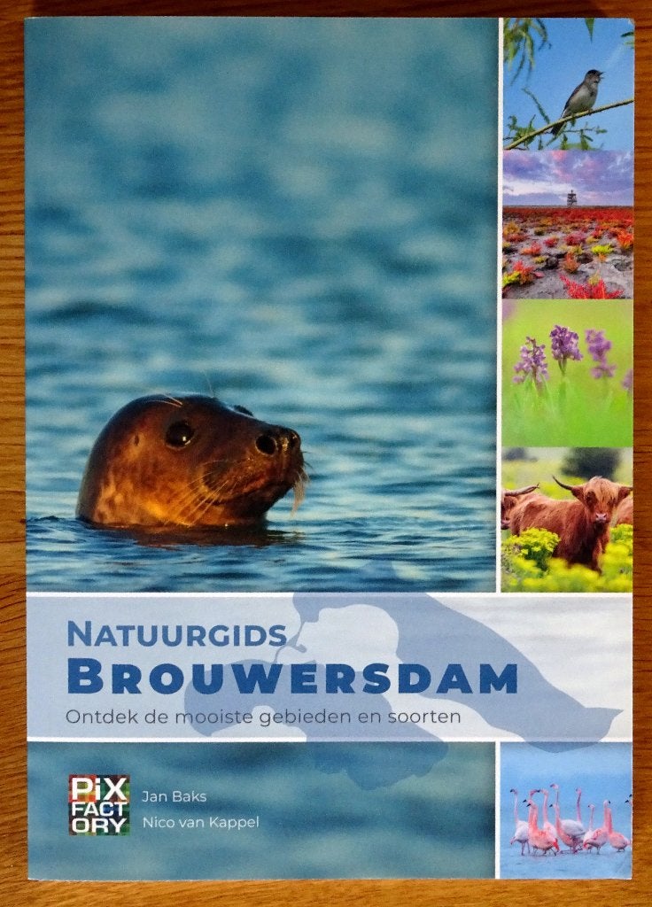 Natuurgids Brouwersdam, Jan Baks en Nico van Kappel, Ophalen of Verzenden, Zo goed als nieuw, Natuur algemeen